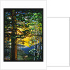 Tiffany Studios landscape window depicting a meandering stream shaded by towering fir trees by Anonymous