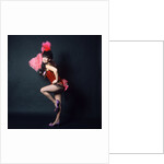 1960s Woman In American 1890s 1900s Wild West Saloon Showgirl Style Costume With Pink Ostrich Feather Fan Looking At Camera by Anonymous