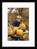 1980s Boy Setting In Wheel Barrow With Halloween Pumpkins Looking At Camera by Anonymous