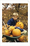 1980s Boy Setting In Wheel Barrow With Halloween Pumpkins Looking At Camera by Anonymous