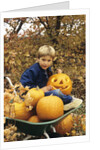 1980s Boy Setting In Wheel Barrow With Halloween Pumpkins Looking At Camera by Anonymous