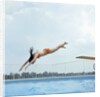 1970s Teen Girl Diving Into Swimming Pool by Anonymous