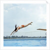 1970s Teen Girl Diving Into Swimming Pool by Anonymous