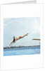 1970s Teen Girl Diving Into Swimming Pool by Anonymous