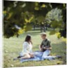 1960 1960s 1970 1970s Retro Smiling Couple Man Woman Sitting On Blanket On Grass Park Man Playing Acoustic Guitar by Anonymous