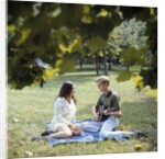 1960 1960s 1970 1970s Retro Smiling Couple Man Woman Sitting On Blanket On Grass Park Man Playing Acoustic Guitar by Anonymous