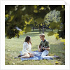 1960 1960s 1970 1970s Retro Smiling Couple Man Woman Sitting On Blanket On Grass Park Man Playing Acoustic Guitar by Anonymous