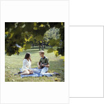 1960 1960s 1970 1970s Retro Smiling Couple Man Woman Sitting On Blanket On Grass Park Man Playing Acoustic Guitar by Anonymous