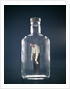 1960s Slumped Over Alcoholic Man Holding Whiskey Bottle Trapped Inside Glass Alcohol Decanter Bottle by Anonymous