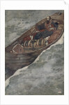 Illustration by Edmund Dulac from The Tempest by William Shakespeare by Anonymous