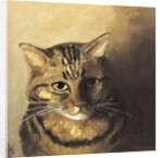 Tabby cat by Louis Wain