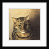 Tabby cat by Louis Wain