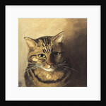 Tabby cat by Louis Wain