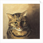 Tabby cat by Louis Wain