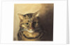 Tabby cat by Louis Wain