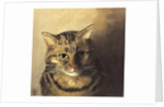 Tabby cat by Louis Wain