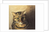 Tabby cat by Louis Wain