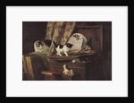 Artful Play by Henriette Ronner-Knip