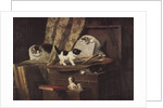 Artful Play by Henriette Ronner-Knip