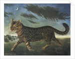 Tabby cat walking at night by Anonymous
