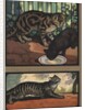 Cats by Edwin Noble