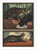 Cats by Edwin Noble