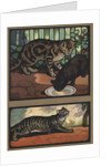 Cats by Edwin Noble