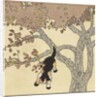 Kitten jumping from tree by Anonymous