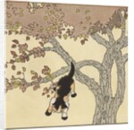 Kitten jumping from tree by Anonymous