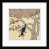 Kitten jumping from tree by Anonymous