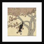 Kitten jumping from tree by Anonymous