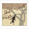 Kitten jumping from tree by Anonymous