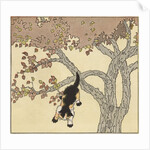 Kitten jumping from tree by Anonymous