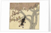 Kitten jumping from tree by Anonymous