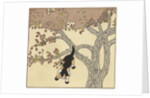Kitten jumping from tree by Anonymous