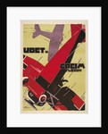 Udet and Greim Air Show Aviation Poster by Anonymous