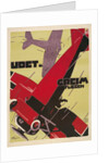 Udet and Greim Air Show Aviation Poster by Anonymous