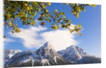 Mountain range in autumn by Anonymous