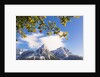 Mountain range in autumn by Anonymous