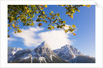 Mountain range in autumn by Anonymous
