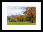 Autumn colors by mountain range by Anonymous