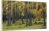 Autumn colors by Anonymous