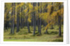 Autumn colors by Anonymous