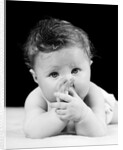 1940s Cute Baby Sucking Thumb Looking At Camera by Anonymous