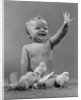 1950s Laughing Waving Baby Surrounded By Little Baby Chicks by Anonymous