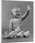 1950s Laughing Waving Baby Surrounded By Little Baby Chicks by Anonymous