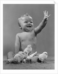 1950s Laughing Waving Baby Surrounded By Little Baby Chicks by Anonymous