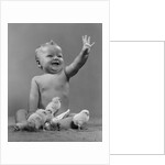 1950s Laughing Waving Baby Surrounded By Little Baby Chicks by Anonymous