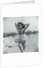 1950s Brunette Bathing Beauty In Polka Dot Bikini Standing In Sand With Hands Behind Head Looking At Camera by Anonymous