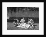1950s Family Mother Father Son Daughter Picnicking By Lake Outdoor by Anonymous